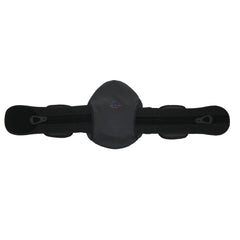 Roller Speed Spinal System (LSO Panel)